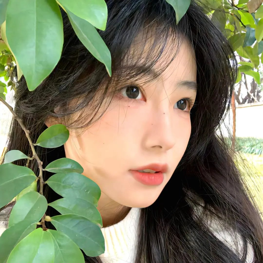 谁见过龙的脚趾甲