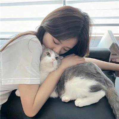七只狐狸